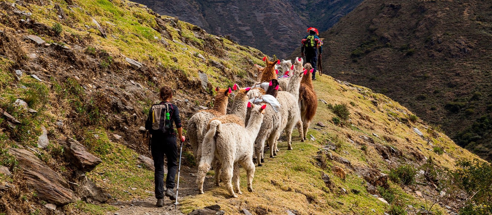 Lares Adventure To Machupicchu